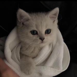 婬妇❌❌❌❌精品王直接看
